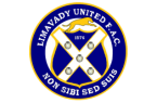 limavady badge