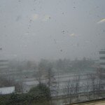 DSCN2353